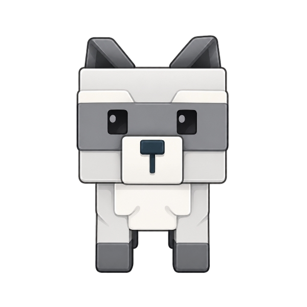 Raccoon