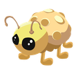 Golden Ladybug