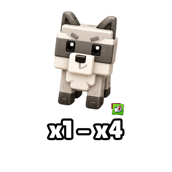Raccoon x1 - x4