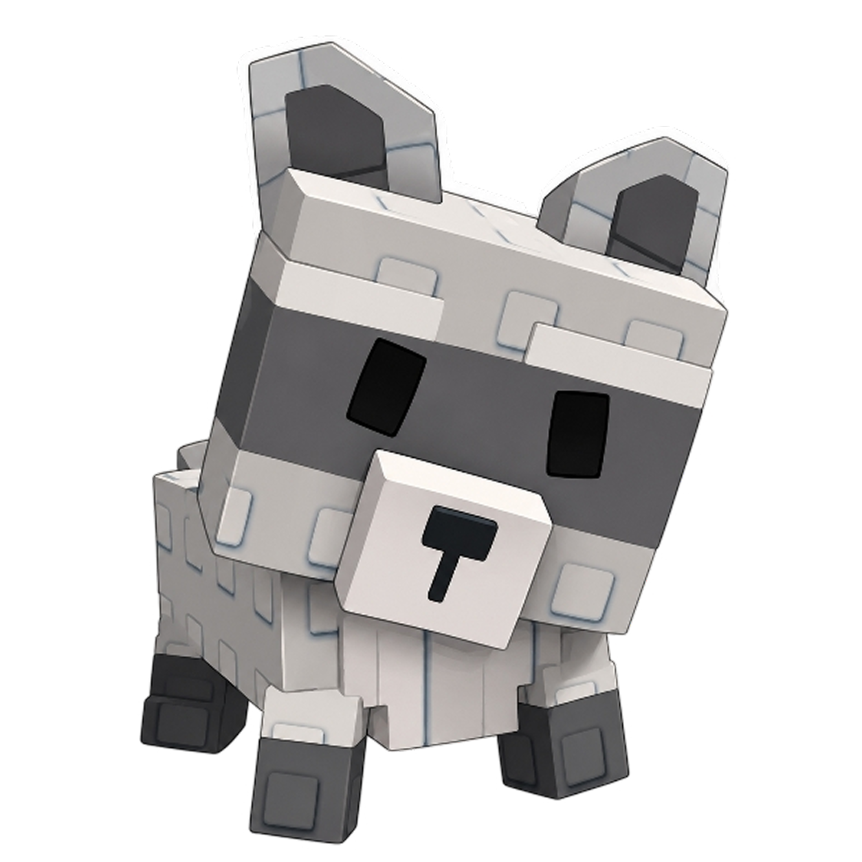 Raccoon