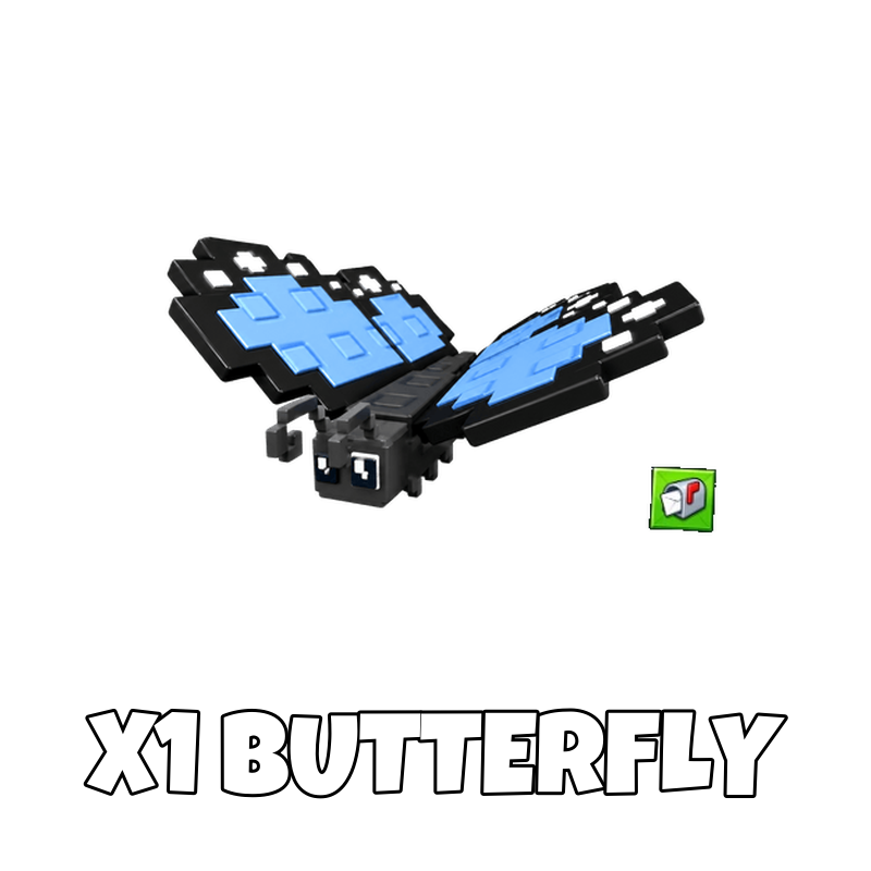 x1 Butterfly