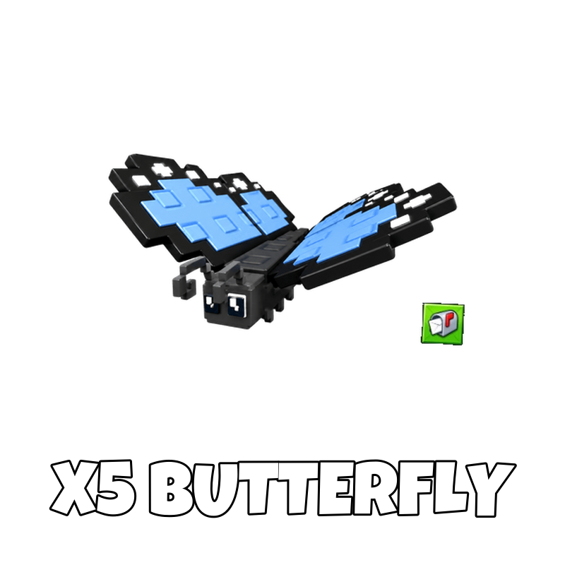 x5 Butterfly