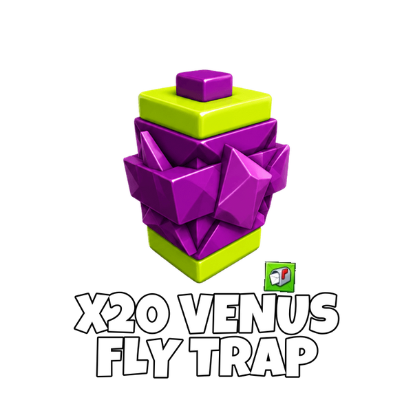 x20 Venus Fly Trap Seed