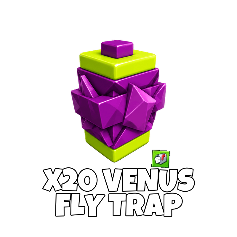 x20 Venus Fly Trap Seed
