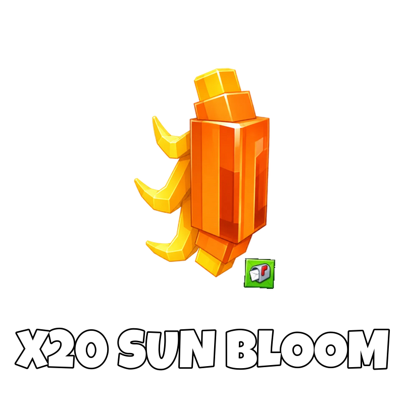 x20 Sun Bloom