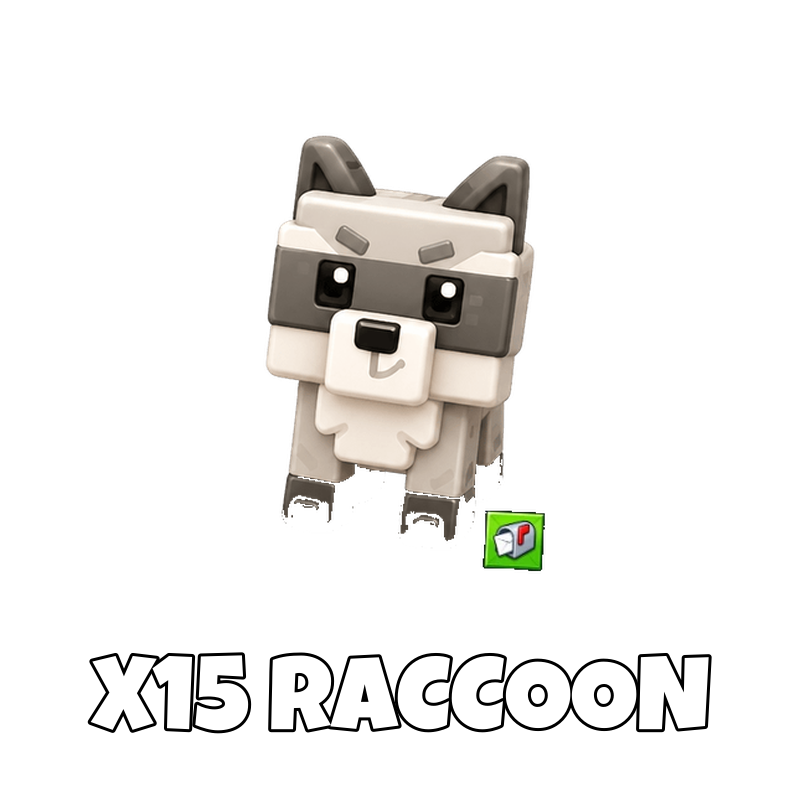 x15 Raccoon
