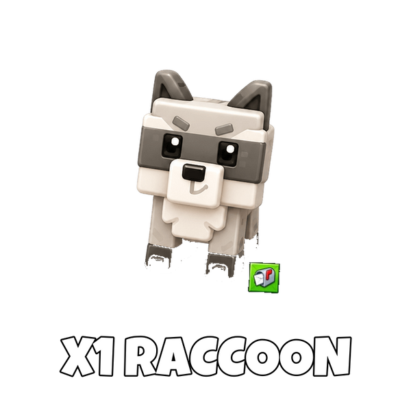 x1 Raccoon