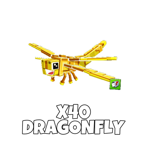 x40 Golden Dragonfly