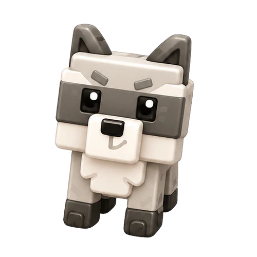 Raccoon