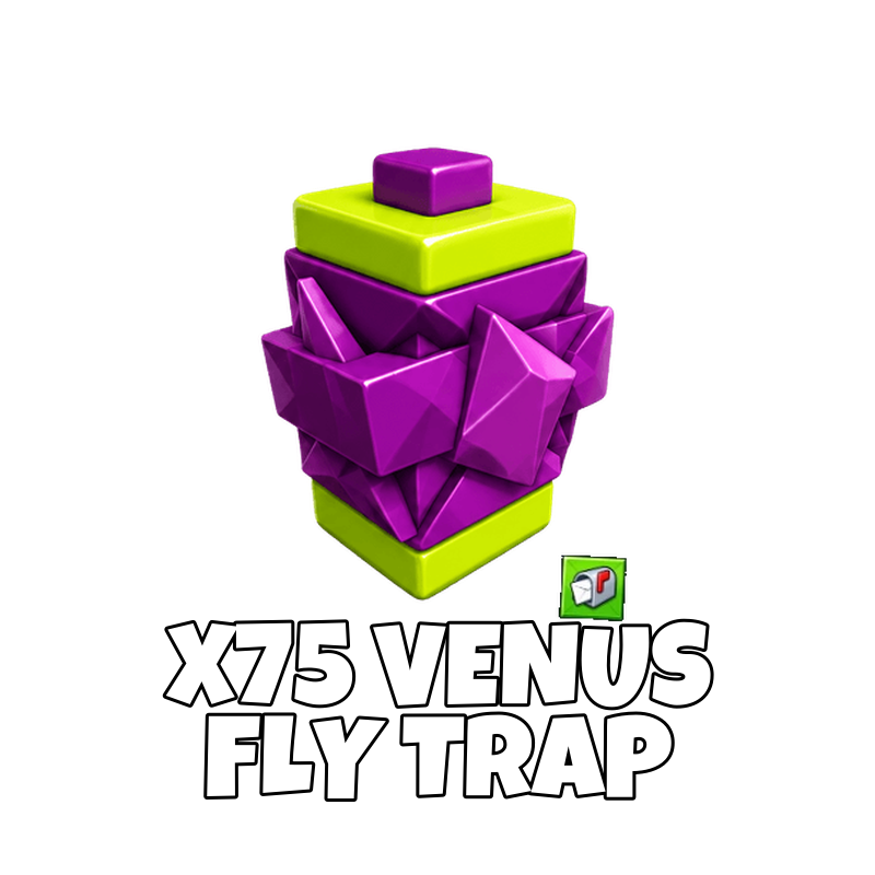x75 Venus Fly Trap Seed