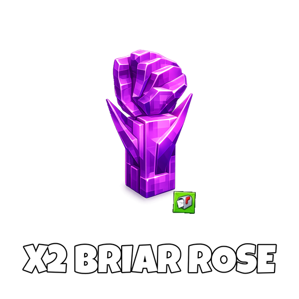 x2 Briar Rose