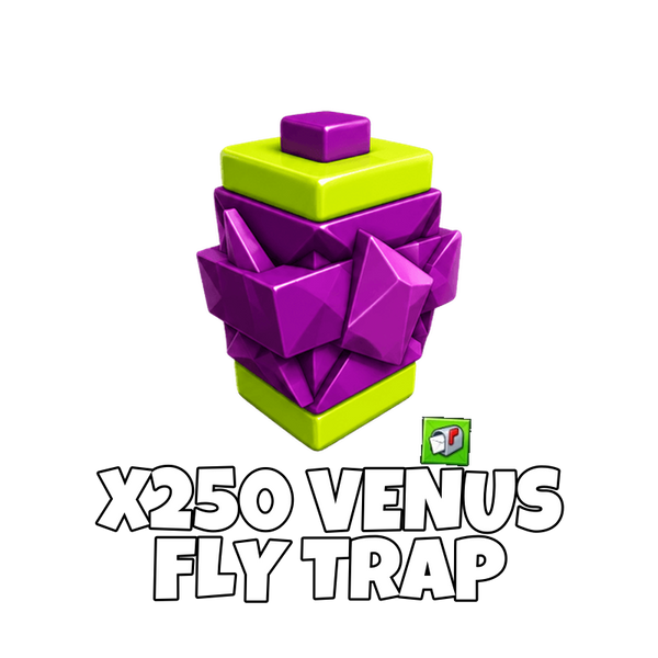 x250 Venus Fly Trap Seed