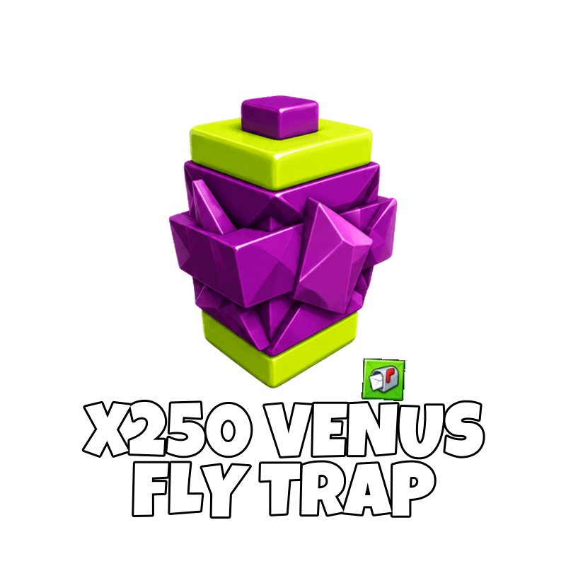 x250 Venus Fly Trap Seed